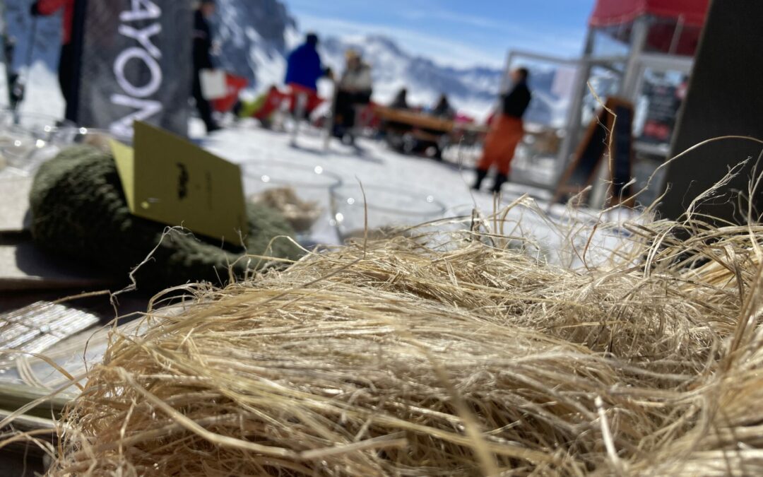 Alpine Hanf-Kompetenz